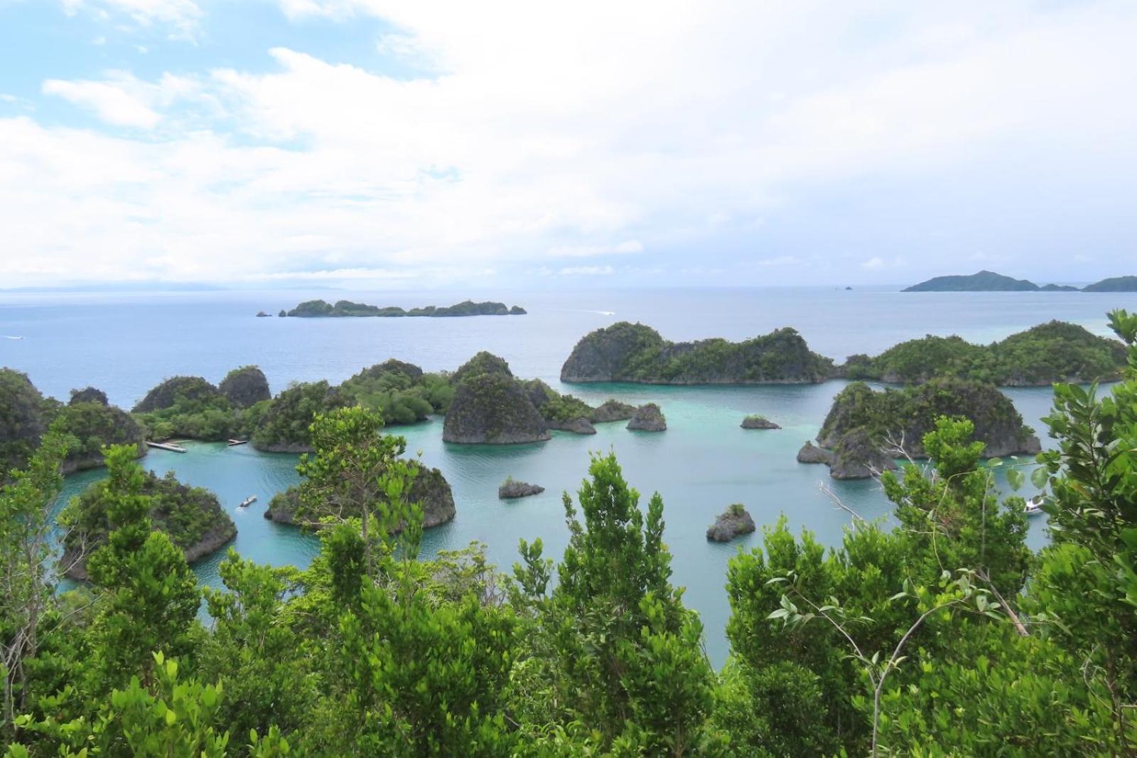 Nyanse Homestay - Raja Ampat Besir Ngoại thất bức ảnh