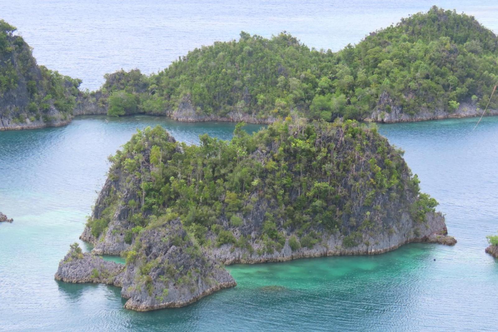 Nyanse Homestay - Raja Ampat Besir Ngoại thất bức ảnh