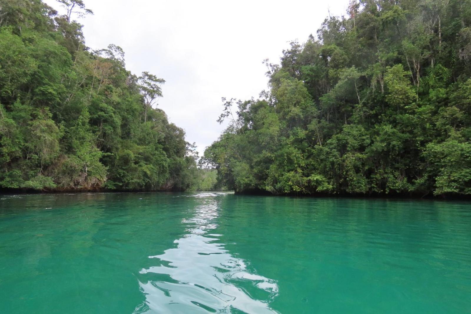 Nyanse Homestay - Raja Ampat Besir Ngoại thất bức ảnh