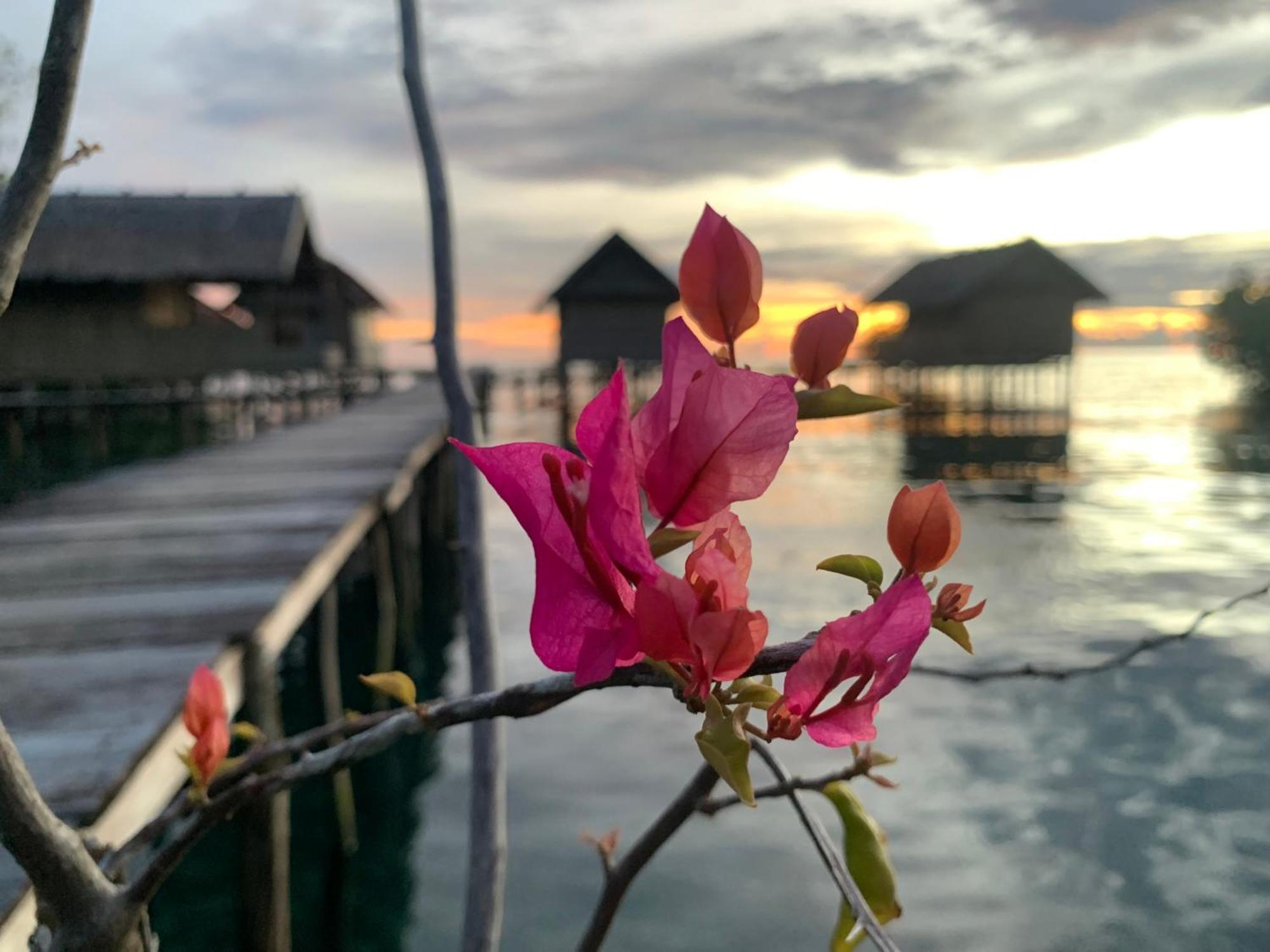Nyanse Homestay - Raja Ampat Besir Ngoại thất bức ảnh